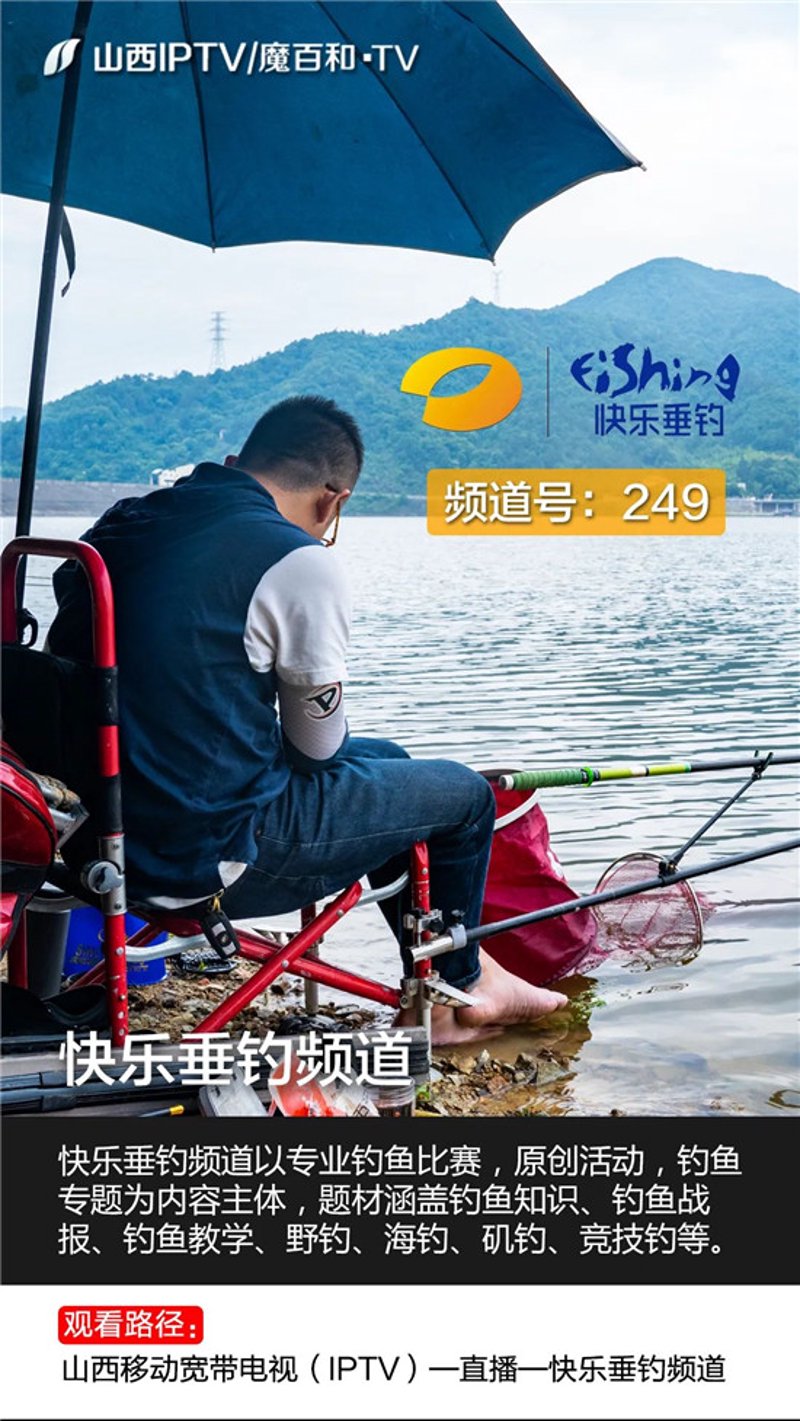 如何制作钓鱼高手的秘密武器?鱼饵配方大揭秘