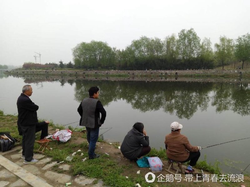 如何制作吸引人的钓鱼视频？——一个新手的实践之路