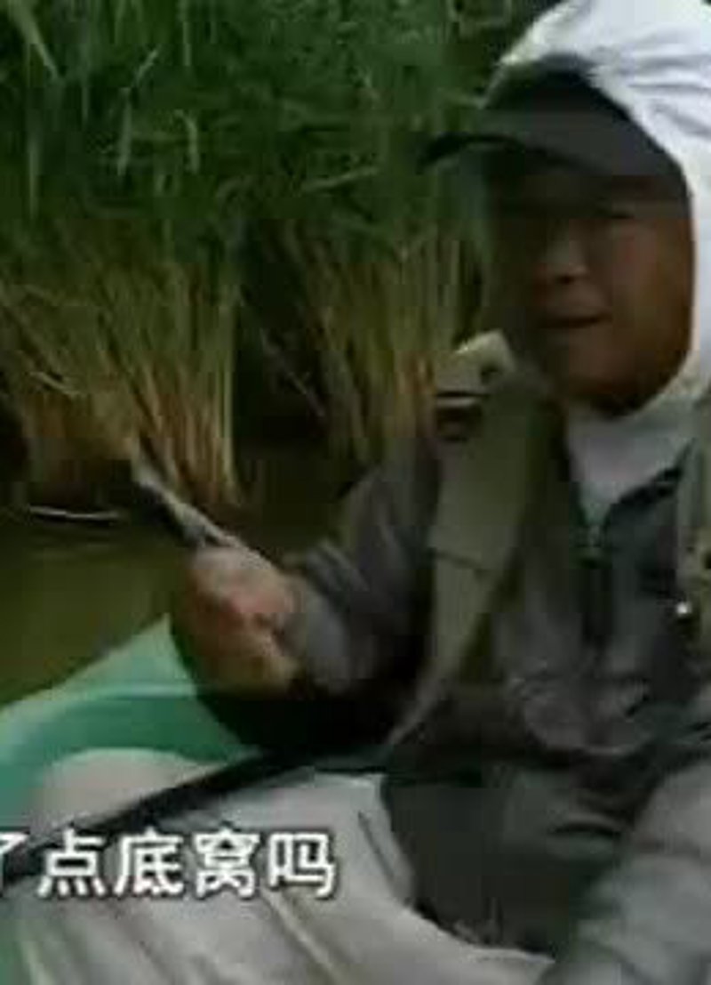 台钓，一种独特的钓鱼方式，近年来受到越来越多垂钓爱好者的青睐。今天我们就通过具体案例来一起探讨一下如何玩转台钓。
