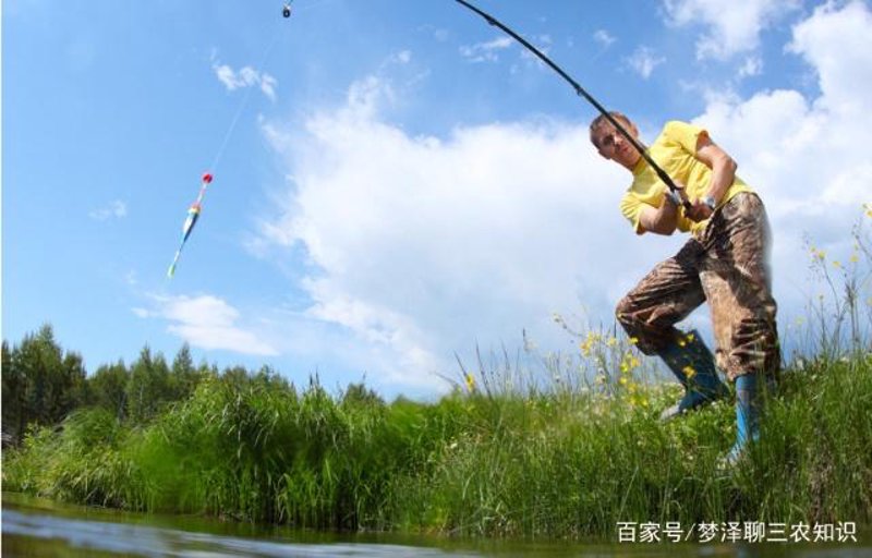 掌握钓鱼技巧，享受户外乐趣